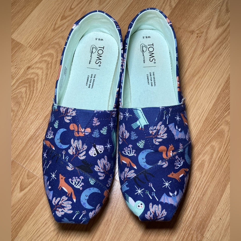 Blue Patterned Toms Sz 8